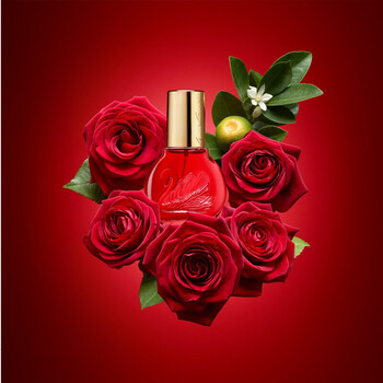 In Red EDP
